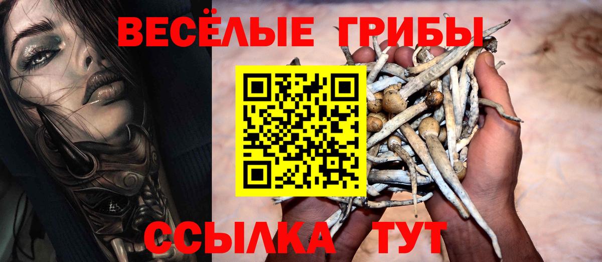 Гатчина  Галлюциногенные грибы Magic Shrooms  где можно купить   Вход с VPN 